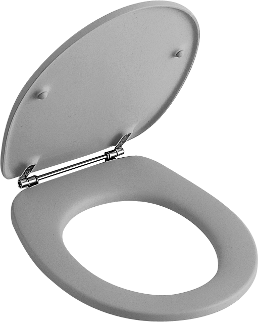Villeroy & Boch O.novo Toilet seat and cover, White Alpin